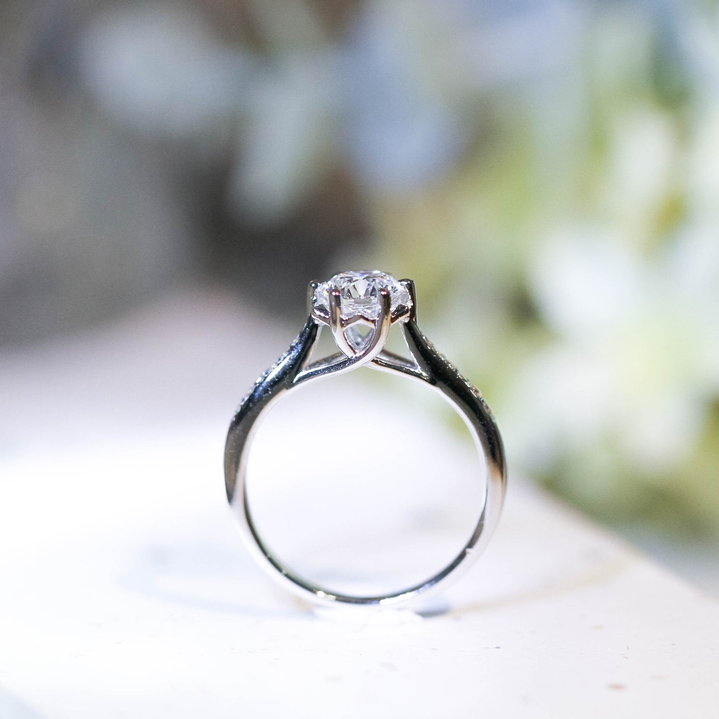 ERIANTHE – KLR0051