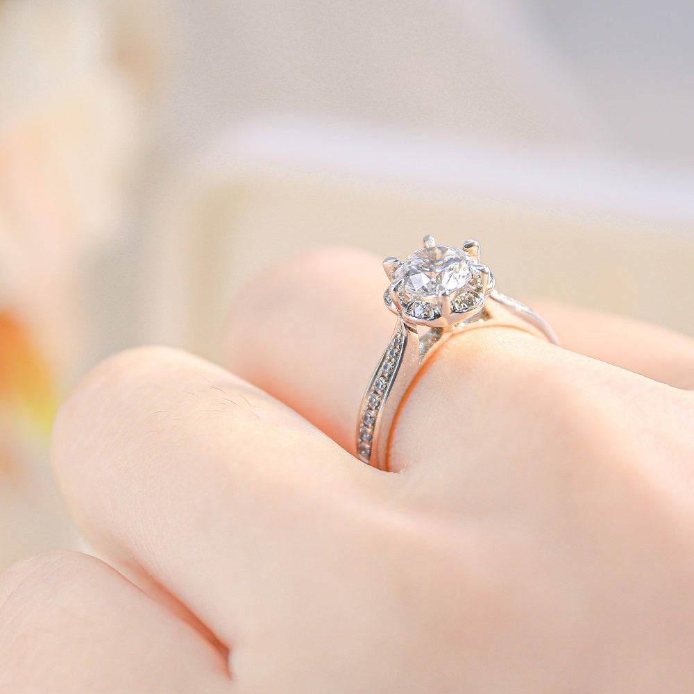 ADELAIDE – KLR0530