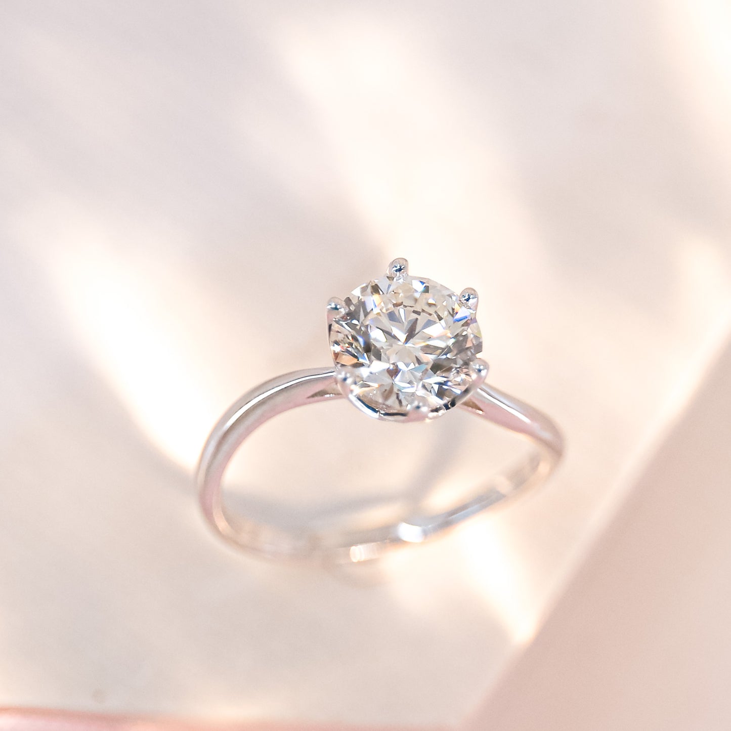 AMARYLLIS – TM0532