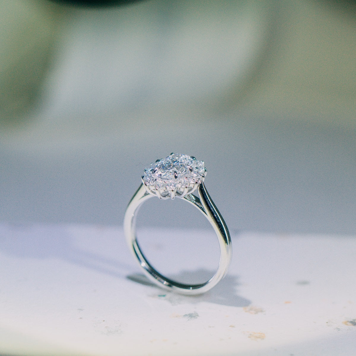 CHARLOTEE - R24802OVA