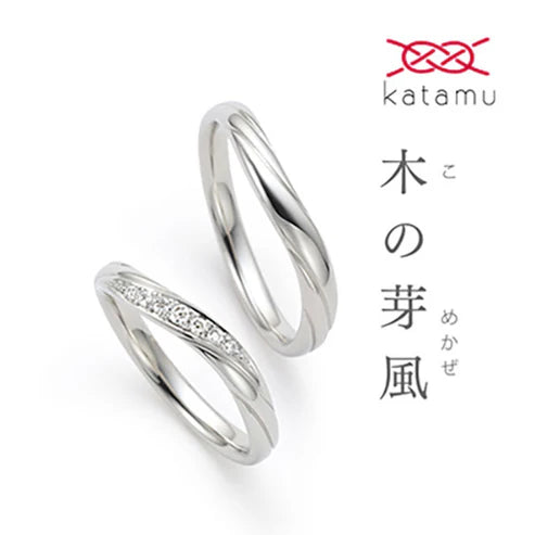 AKT05-06 木の芽風