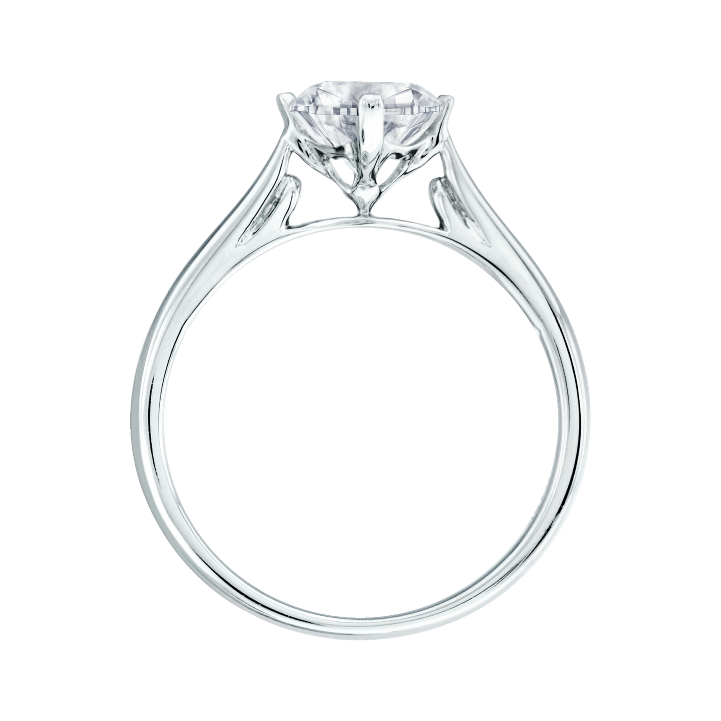 ALDAVA – TM0102