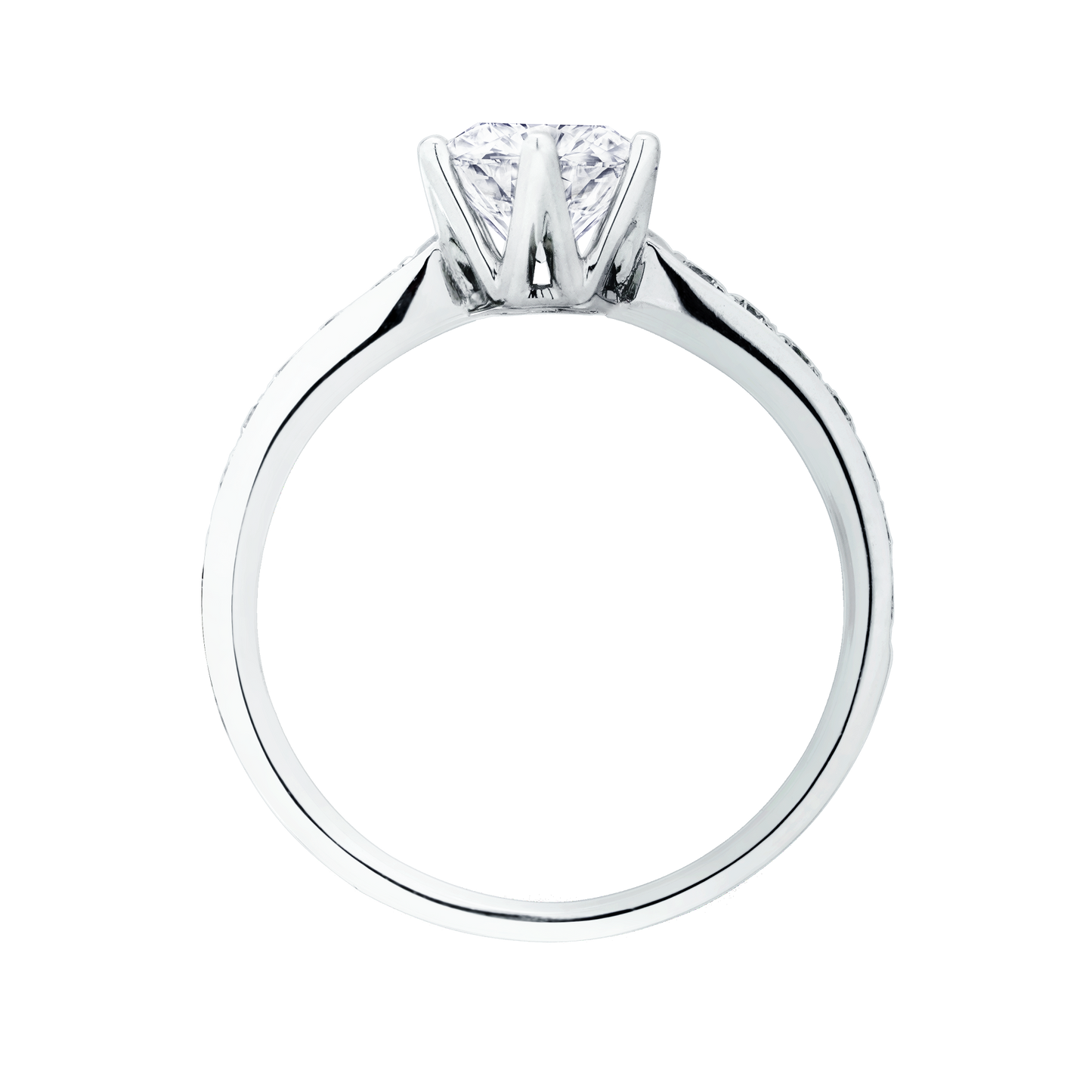 AMABEL – TM0160M
