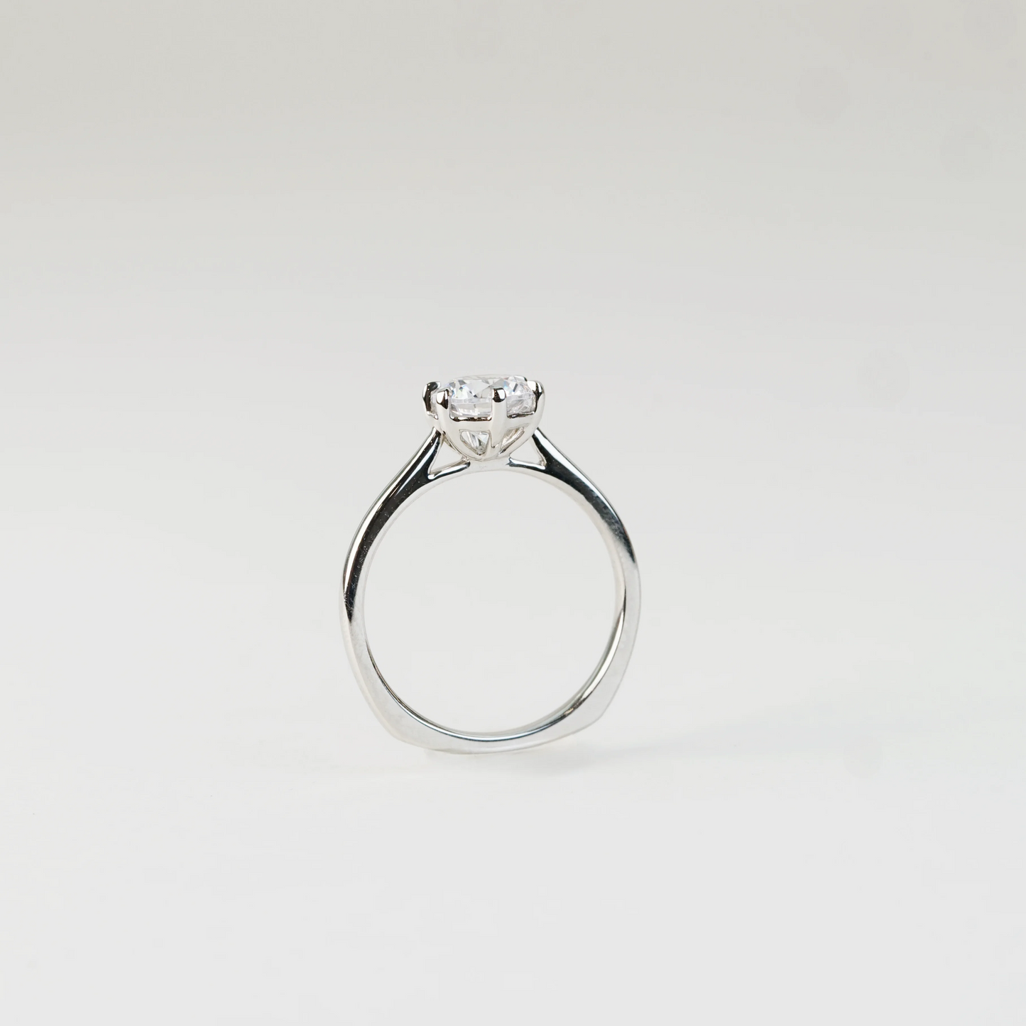 SLOANE - TM0816