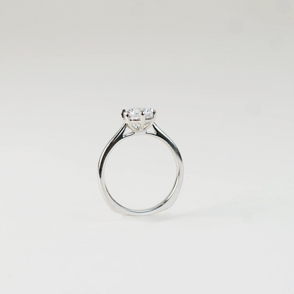 SLOANE - TM0816